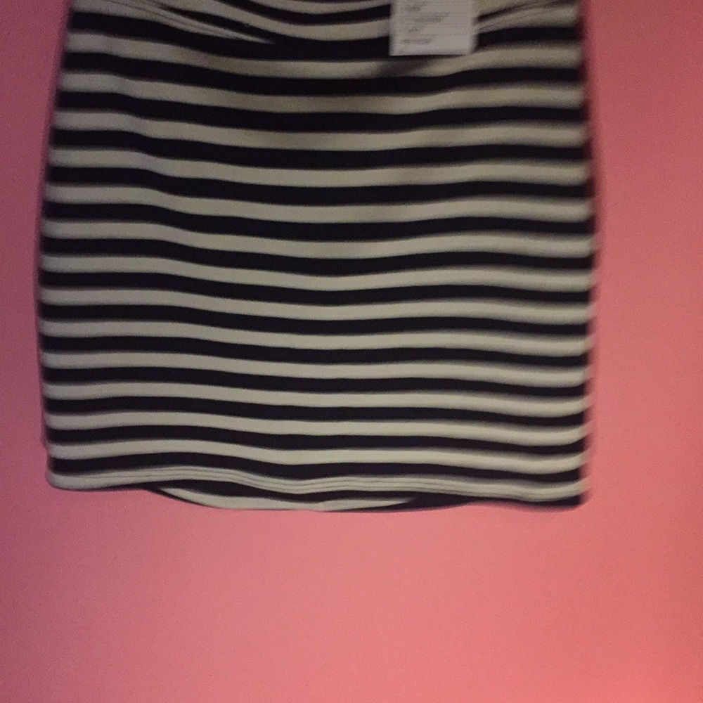 NWT skirt
